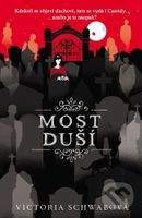Most duší (český jazyk) (Kdekoli se objeví duchové, tam se vydá i Cassidy... anebo je to naopak?) - kniha z kategorie Sci-fi, fantasy a komiksy
