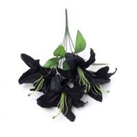 dekoracja ALCHEMY GOTHIC - Black Lily