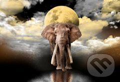 Sloní sny 2v1, dřevěné