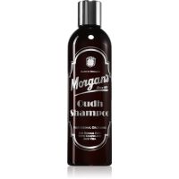 Morgan's Oudh Shampoo шампунь для волосся для чоловіків 250 мл