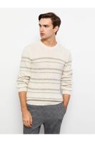 LC Waikiki LCW Men's Casual Crew Neck Long Sleeve Striped Knitwear Sweater