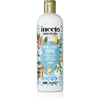 Inecto Argan šampón na lesk a hebkosť vlasov 500 ml