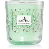 SANTINI Cosmetic Hello Spring aроматична свічка 200 гр