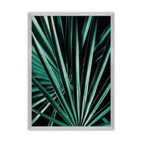 Plakát Dark Palm Tree