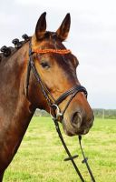 Uzdečka Amber German Riding Duo