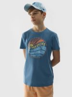 Boys' regular T-shirt with 4F print - denim