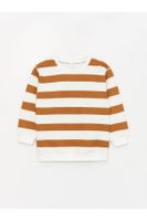 LC Waikiki Crew Neck Long Sleeve Striped Baby Boy Sweatshirt