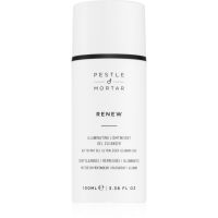 Pestle & Mortar RENEW čistilni gel za obraz 100 ml