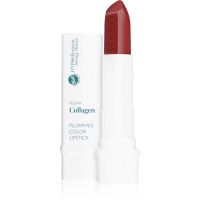 Bell Hypoallergenic rúž odtieň 05 Plum 4 g