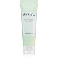 SKIN1004 Madagascar Centella Tea-Trica BHA Foam глибоко очищаюча пінка для проблемної шкіри 125 мл