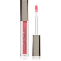 Claresa Glass of Water Lip Gloss dugotrajno sjajilo za usne nijansa 02 Rose Water 2 g