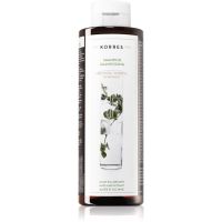 Korres Aloe & Dittany Shampoo für normales Haar 250 ml