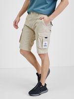 Tommy Jeans Ethan Shorts Beige