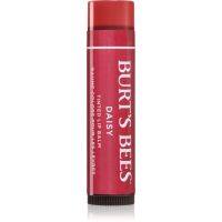 Burt’s Bees Tinted Lip Balm balzam na pery odtieň Daisy 4.25 g