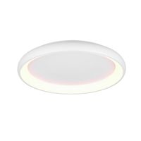 Trio Leuchten STROPNÍ LED SVÍTIDLO, 75/9,5 cm
