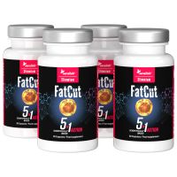 FatCut 1+3 GRATIS