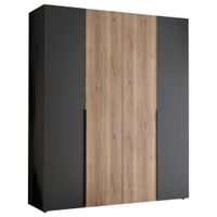 Carryhome ŠATNÍKOVÁ SKRIŇA, grafitová, farba duba, 200/210/53 cm