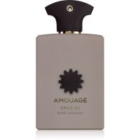 Amouage Opus XII: Rose Incense parfumska voda uniseks 100 ml