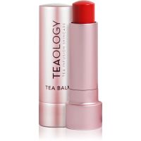 Teaology Tea Balm feuchtigkeitsspendender Balsam-Stick für die Lippen Farbton Cherry Tea 4 g