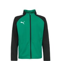 PUMA Sportska jakna 'TeamLIGA'  antracit siva / travnato zelena / bijela