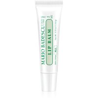 Mario Badescu Lip Balm intenzívny hydratačný balzam na pery 10 g