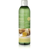 Bottega Verde Zenzero szampon oczyszczający do wzmocnienia włosów 250 ml