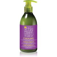 Little Green Kids Babyshampoo für die leichte Kämmbarkeit des Haares 240 ml