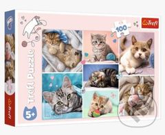 V kočičím světě - puzzle z kategorie Zvířata