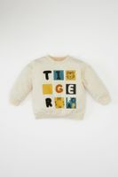 DEFACTO Baby Boy Crew Neck Printed Sweatshirt