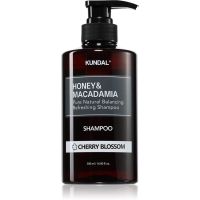 KUNDAL Honey & Macadamia Cherry Blossom Naturshampoo für trockenes und beschädigtes Haar 500 ml