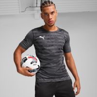 Puma individualRISE Graphic Trikot Herren | Mit Print | Asphalt | Größe: 3XL
