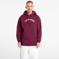 Bluza PLEASURES Mirror Hoodie Eggplant M