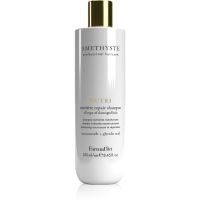 FarmaVita Amethyste Nutri stärkendes Shampoo für beschädigtes Haar 250 ml