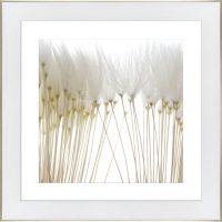 Obraz W Ramie 50X50 Ob-039