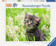 Kotě na louce - puzzle z kategorie Zvířata