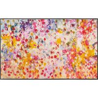 Esposa ROHOŽKA, 75/120 cm, viacfarebná