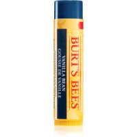 Burt’s Bees Lip Care vlažilni balzam za ustnice z vanilijo 4.25 g