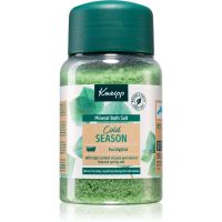 Kneipp Cold Season sol za kupku Eucalyptus 500 g