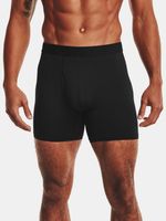 Under Armour UA Tech Mesh 6in Boxershorts 2 Stück Schwarz