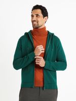 Celio Vethree Sweatshirt Grün