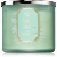 Bath & Body Works Cedar & Suede ароматна свещ 411 гр.