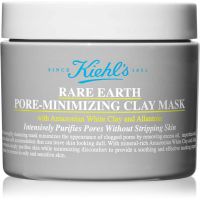 Kiehl's Rare Earth Deep Pore Cleansing Mask globoko čistilna maska z ilovico 125 ml