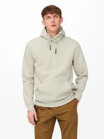 ONLY & SONS Ceres Sweatshirt Beige