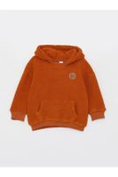 LC Waikiki Long Sleeve Embroidery Detailed Baby Boy Plush Hoodie