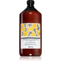 Davines Naturaltech Nourishing maska za lase za zelo poškodovane lase 1000 ml