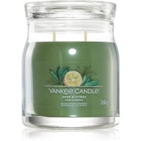 Yankee Candle Sage & Citrus lumânare parfumată Signature Signature 368 g