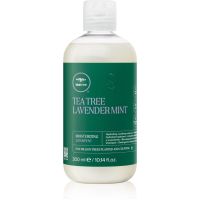 Paul Mitchell Tea Tree Lavender Mint vlažilni in pomirjajoči šampon z suhe lase 300 ml