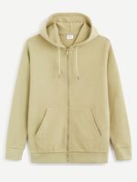 Celio Becolo Sweatshirt Grün