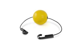 SKLZ Shooting Target, střelecký bod na koš