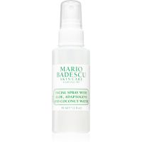 Mario Badescu Facial Spray with Aloe, Adaptogens and Coconut Water ceață înviorătoare pentru ten normal spre uscat 59 ml